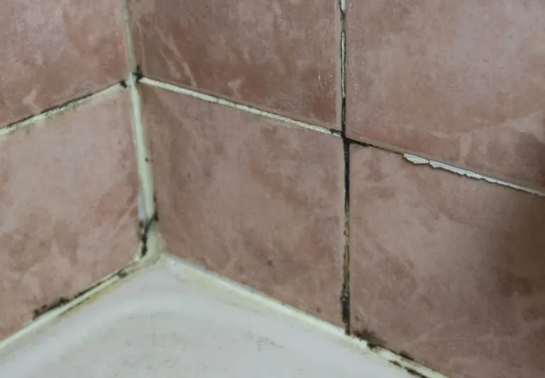 What Causes Grout to Crack?